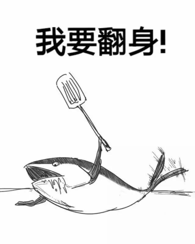 咸魚(yú)想翻身
